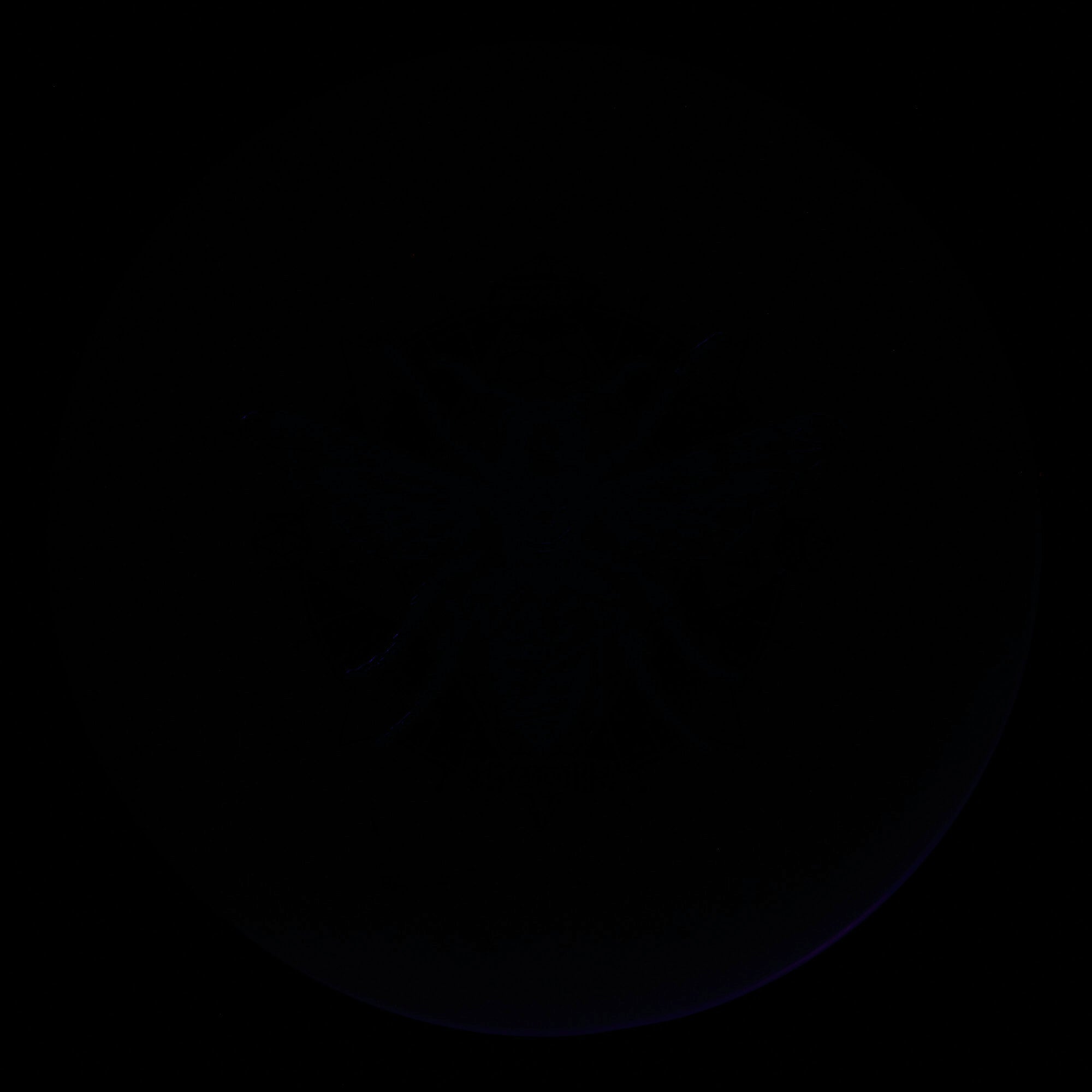 Discraft Wasp - Season 3 Ledgestone Jawbreaker Glo 166g | Style 0001