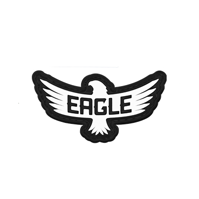 Eagle Icon Velcro Patch