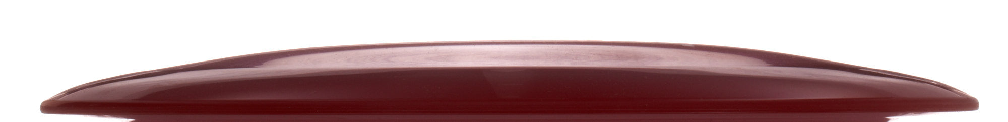 Innova Tern - Champion 177g | Style 0001