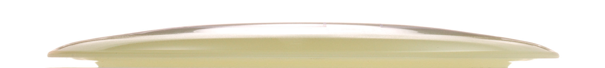 Proto Glow Champion Tern