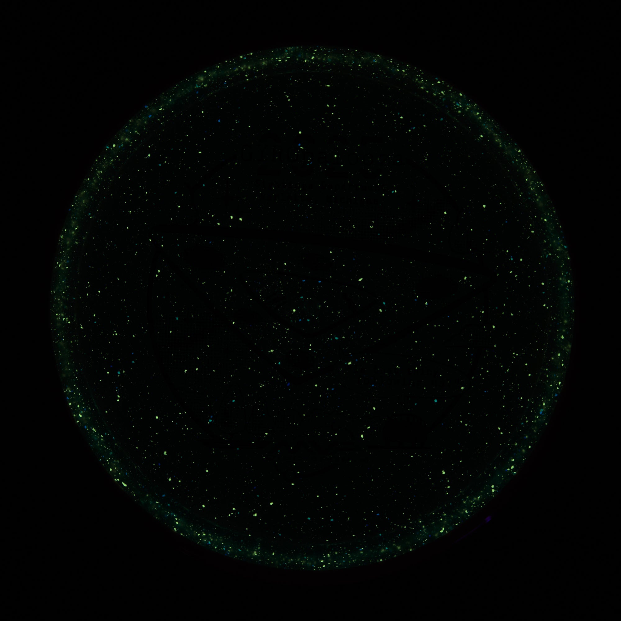 2025 Gyropalooza Particle Proton Pyro