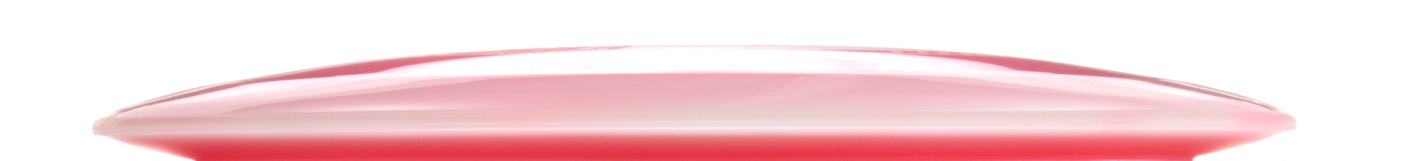 Holly Finley Team Champion Series Halo Champion Roadrunner