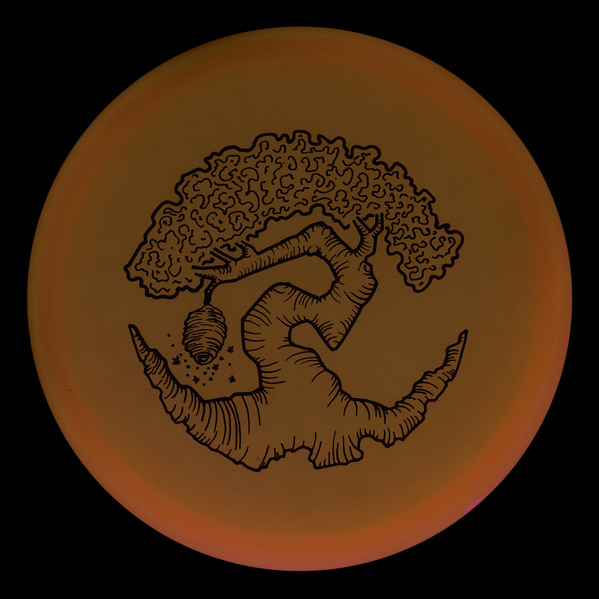 Faylor Lake Special Edition Glo Z FLX Swarm