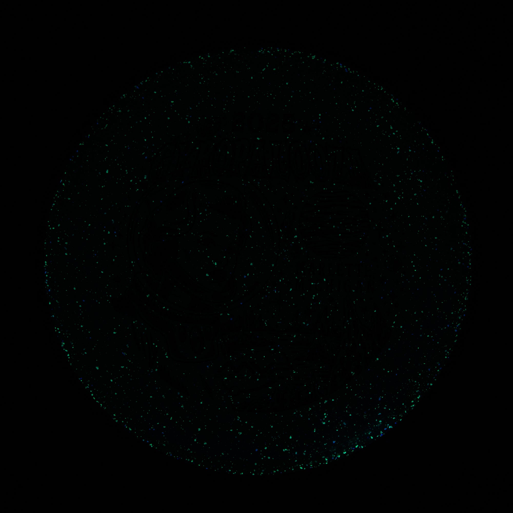 2025 Gyropalooza Particle Proton Particle