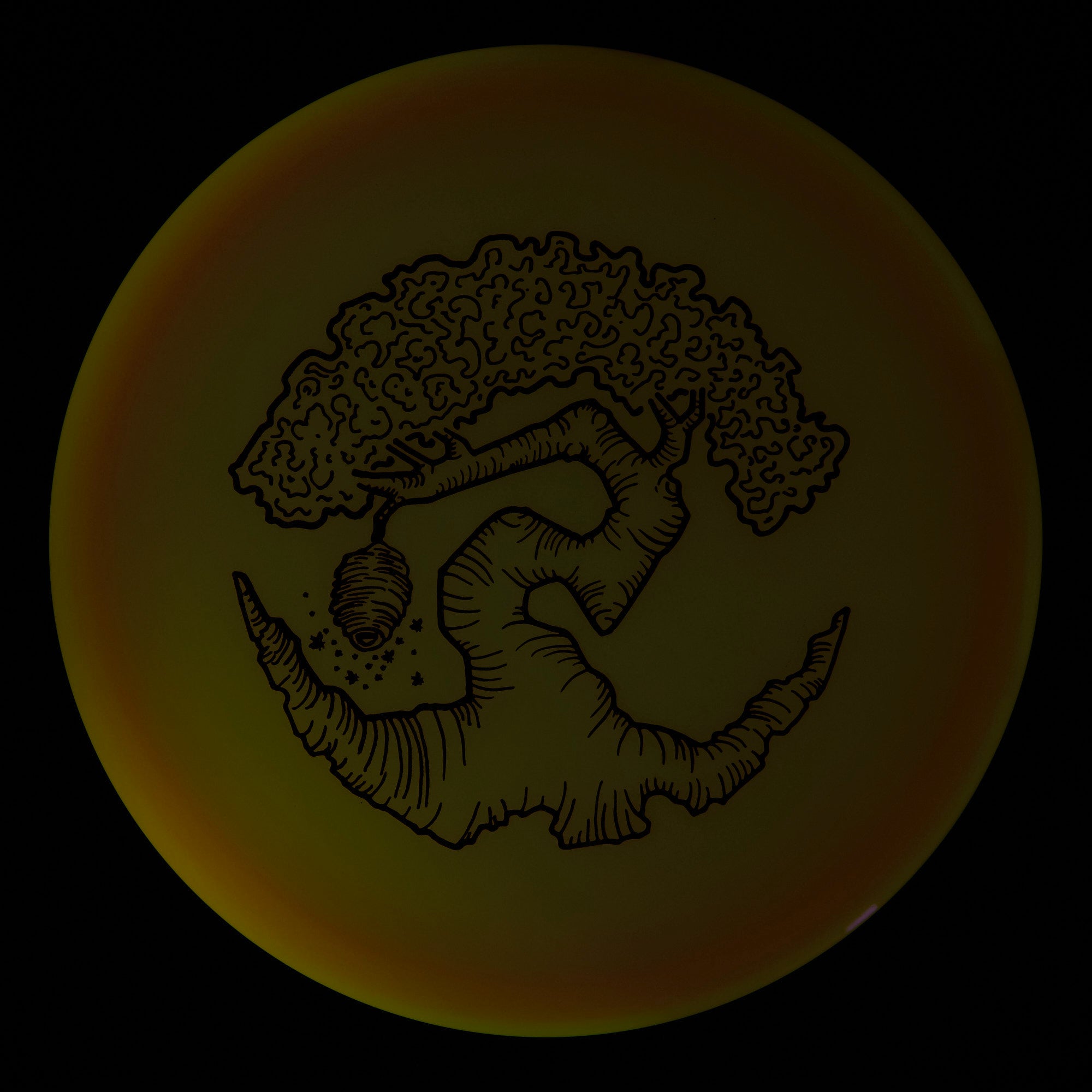 Faylor Lake Special Edition Glo Z FLX Swarm