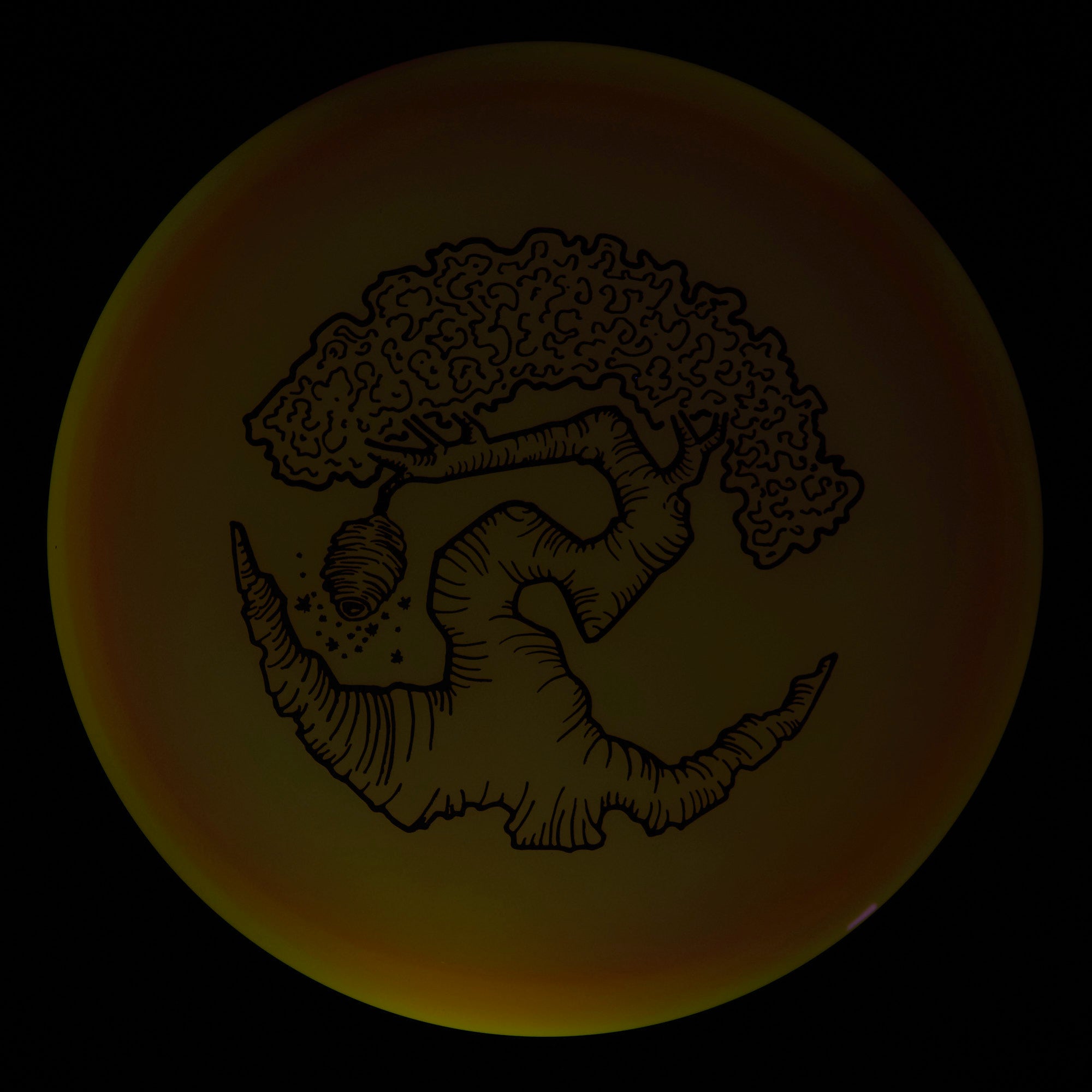 Faylor Lake Special Edition Glo Z FLX Swarm