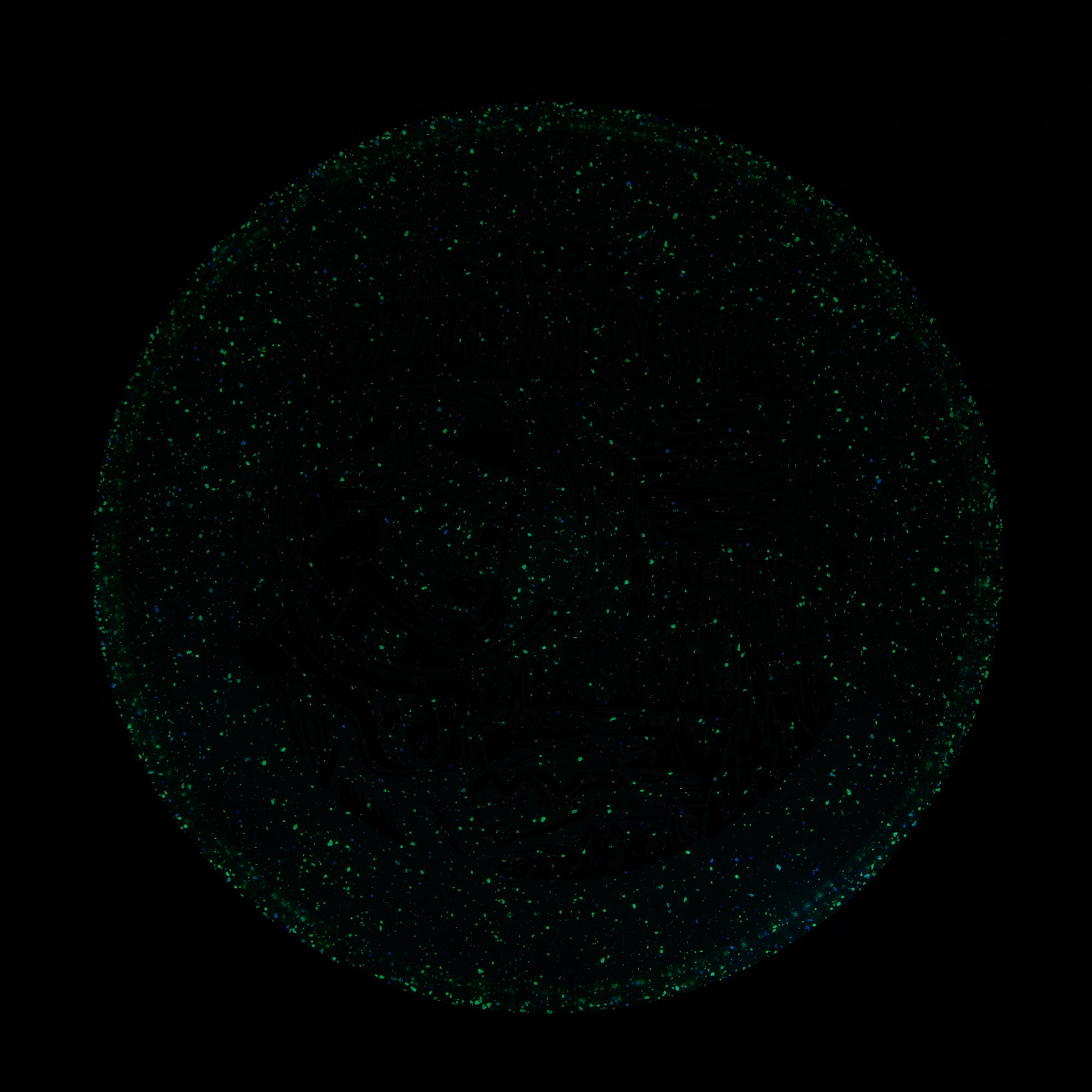 2025 Gyropalooza Particle Proton Particle