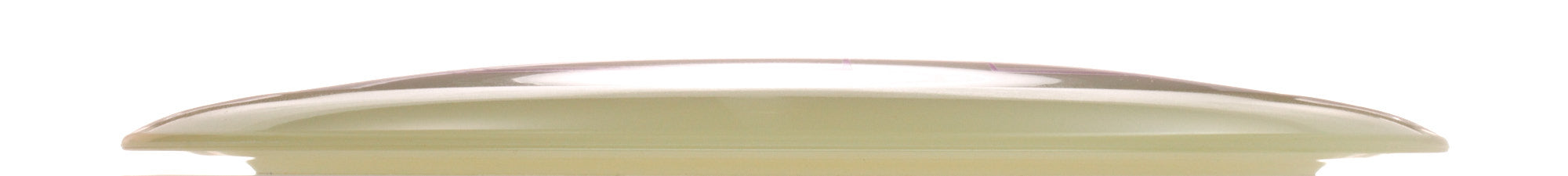 Proto Glow Champion Tern