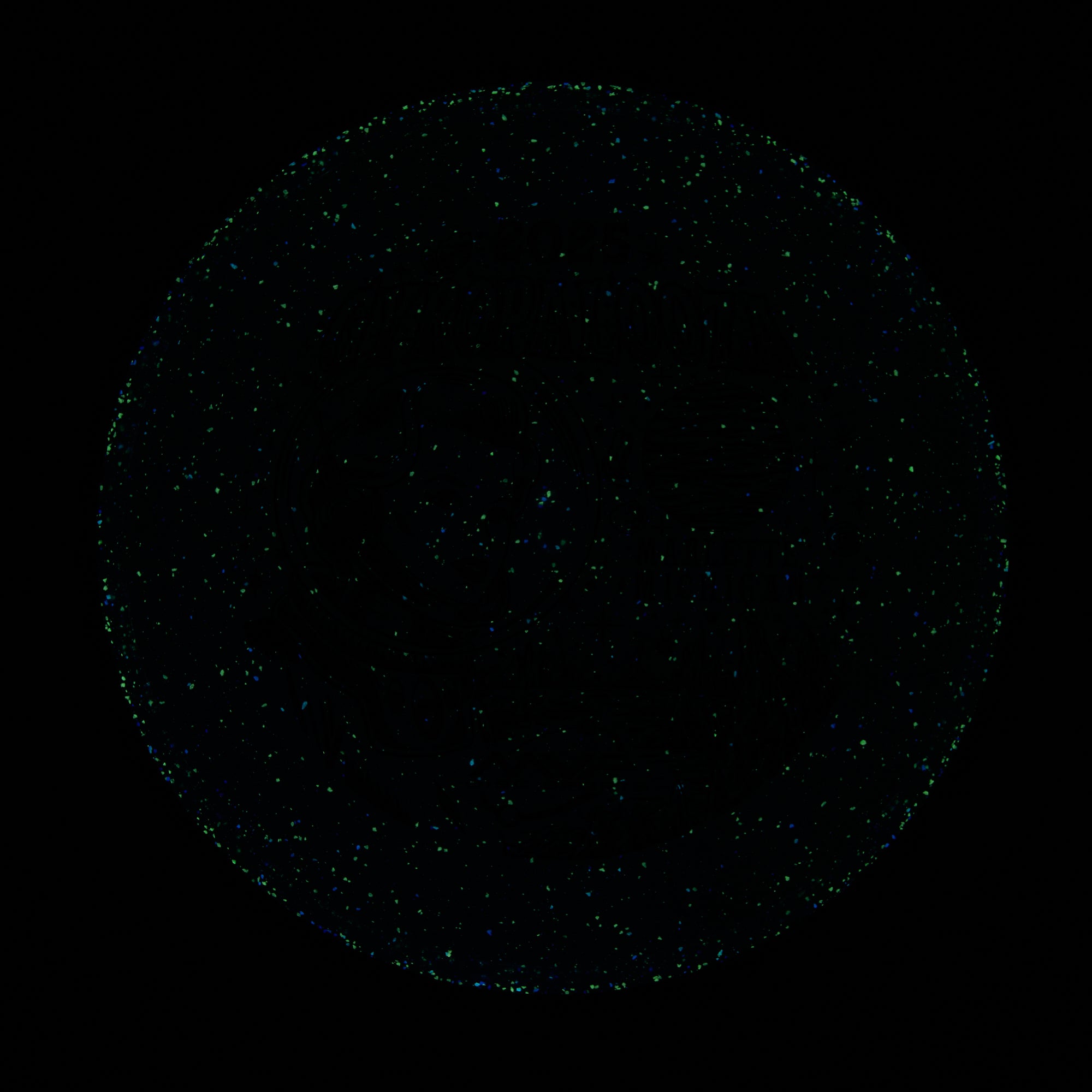 2025 Gyropalooza Particle Proton Particle