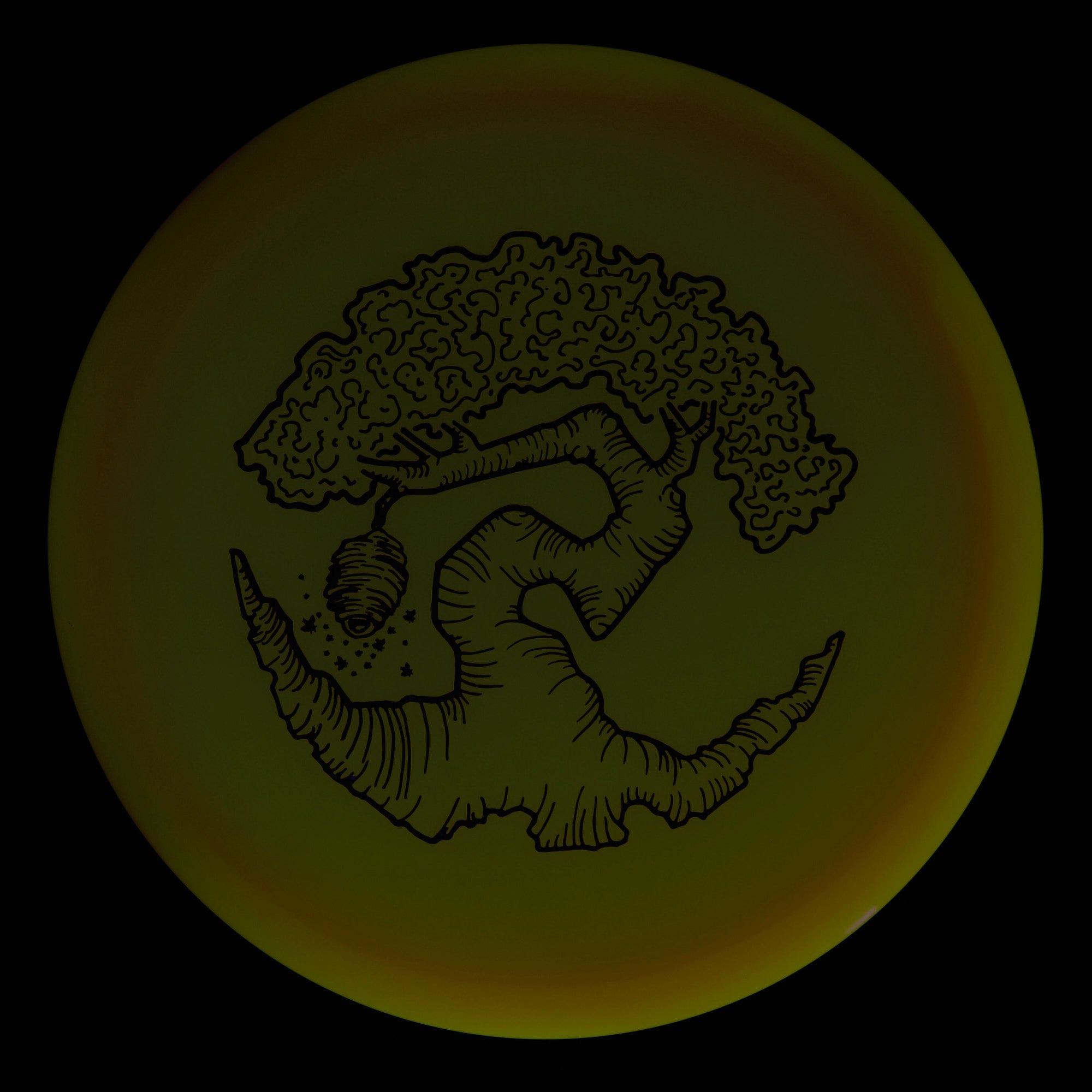 Faylor Lake Special Edition Glo Z FLX Swarm