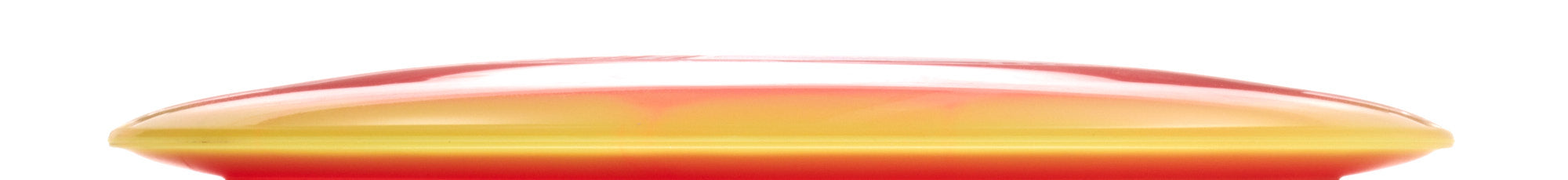 Holly Finley Team Champion Series Halo Champion Roadrunner