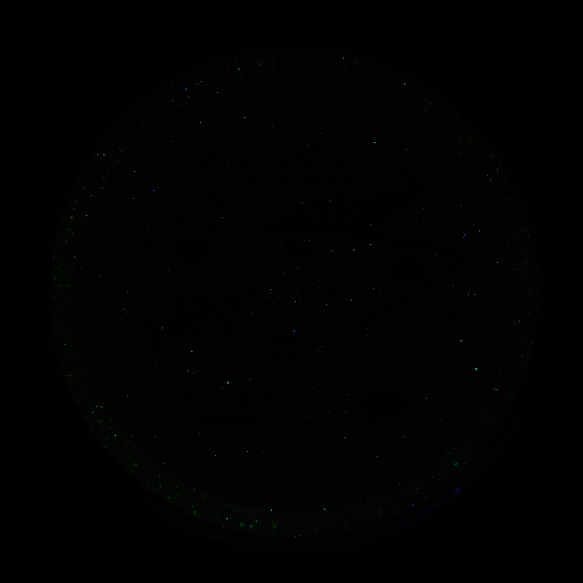 2025 Gyropalooza Particle Proton Pyro