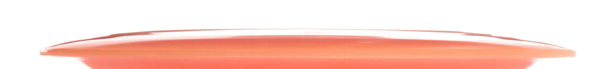 Bearly Alive Lucid Moonshine Heist