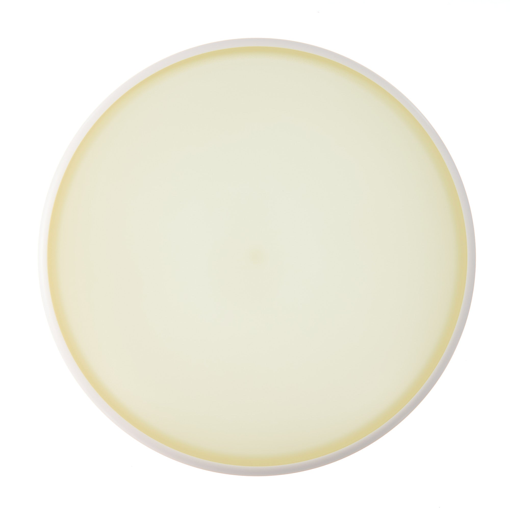 Blank Eclipse 2.0 Watt