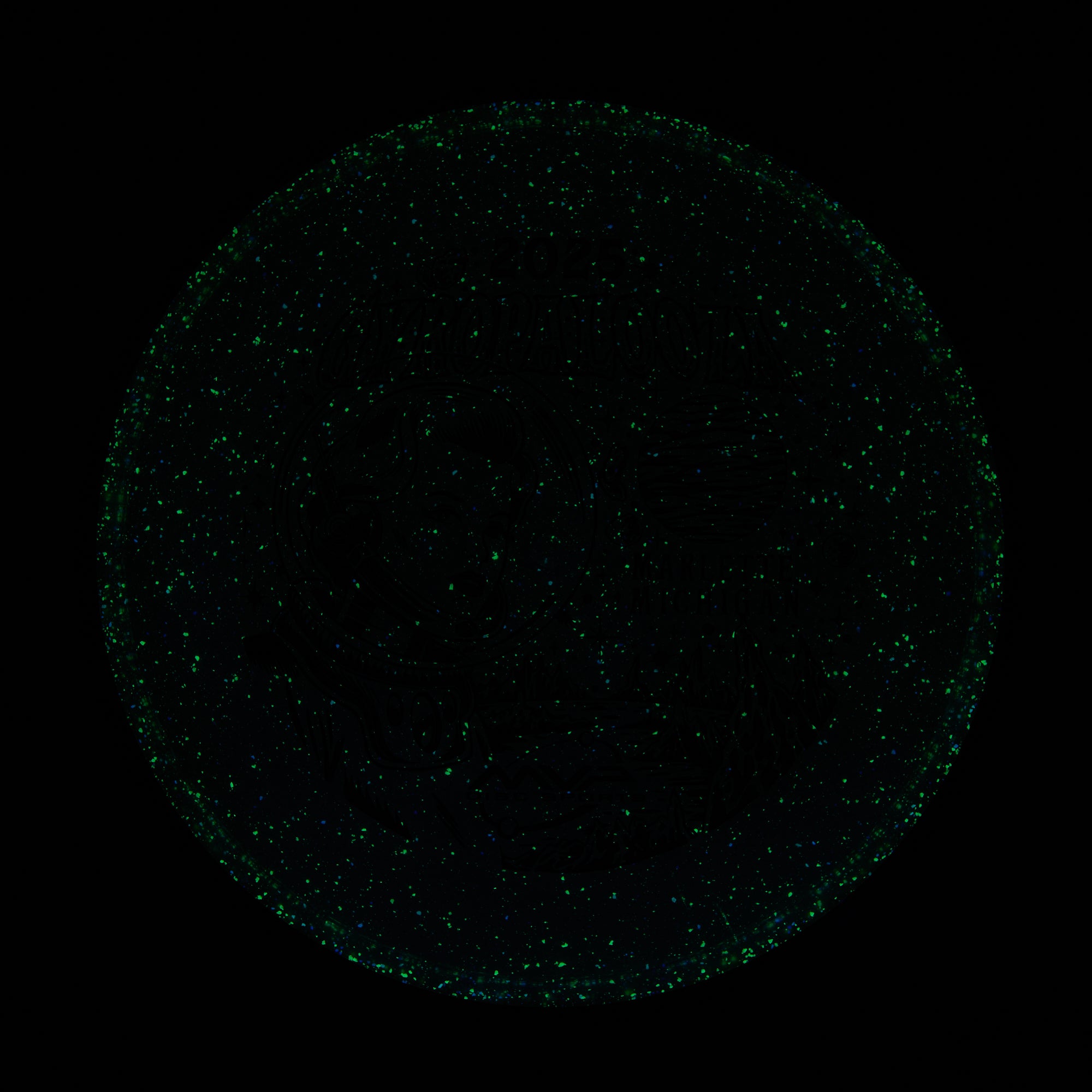 2025 Gyropalooza Particle Proton Particle