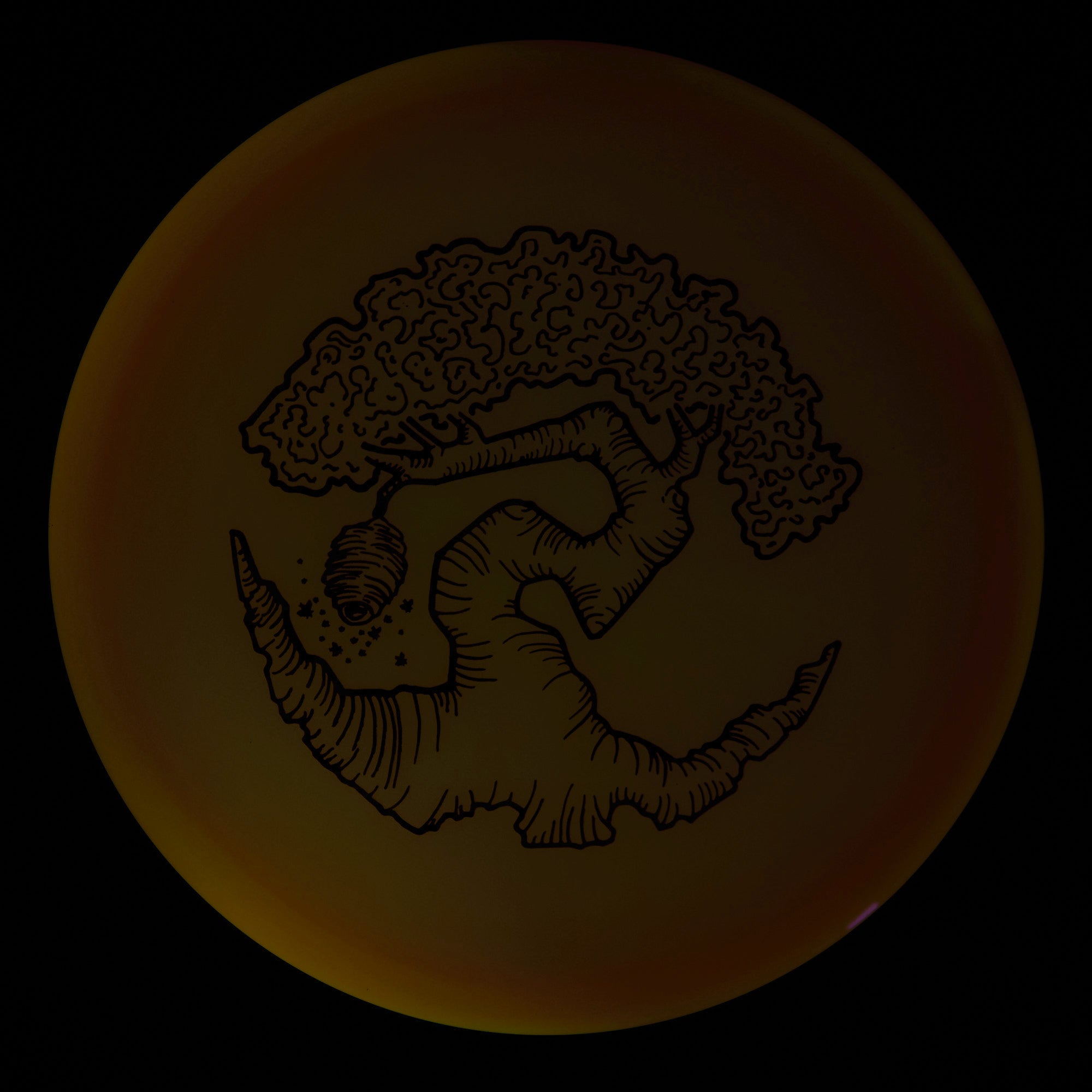 Faylor Lake Special Edition Glo Z FLX Swarm