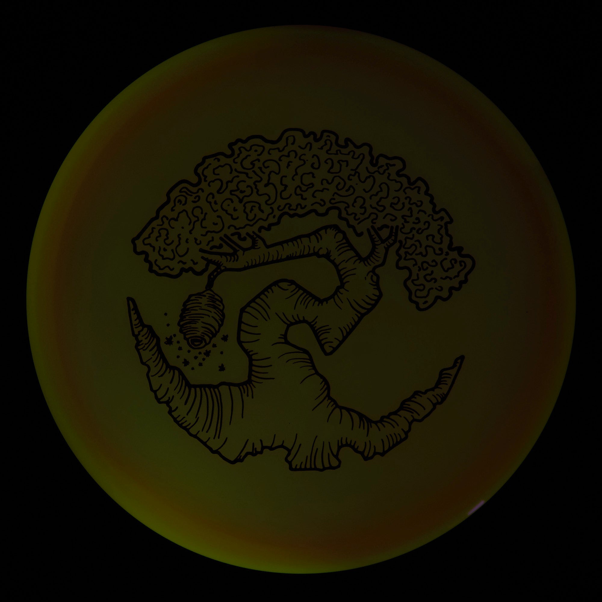 Faylor Lake Special Edition Glo Z FLX Swarm