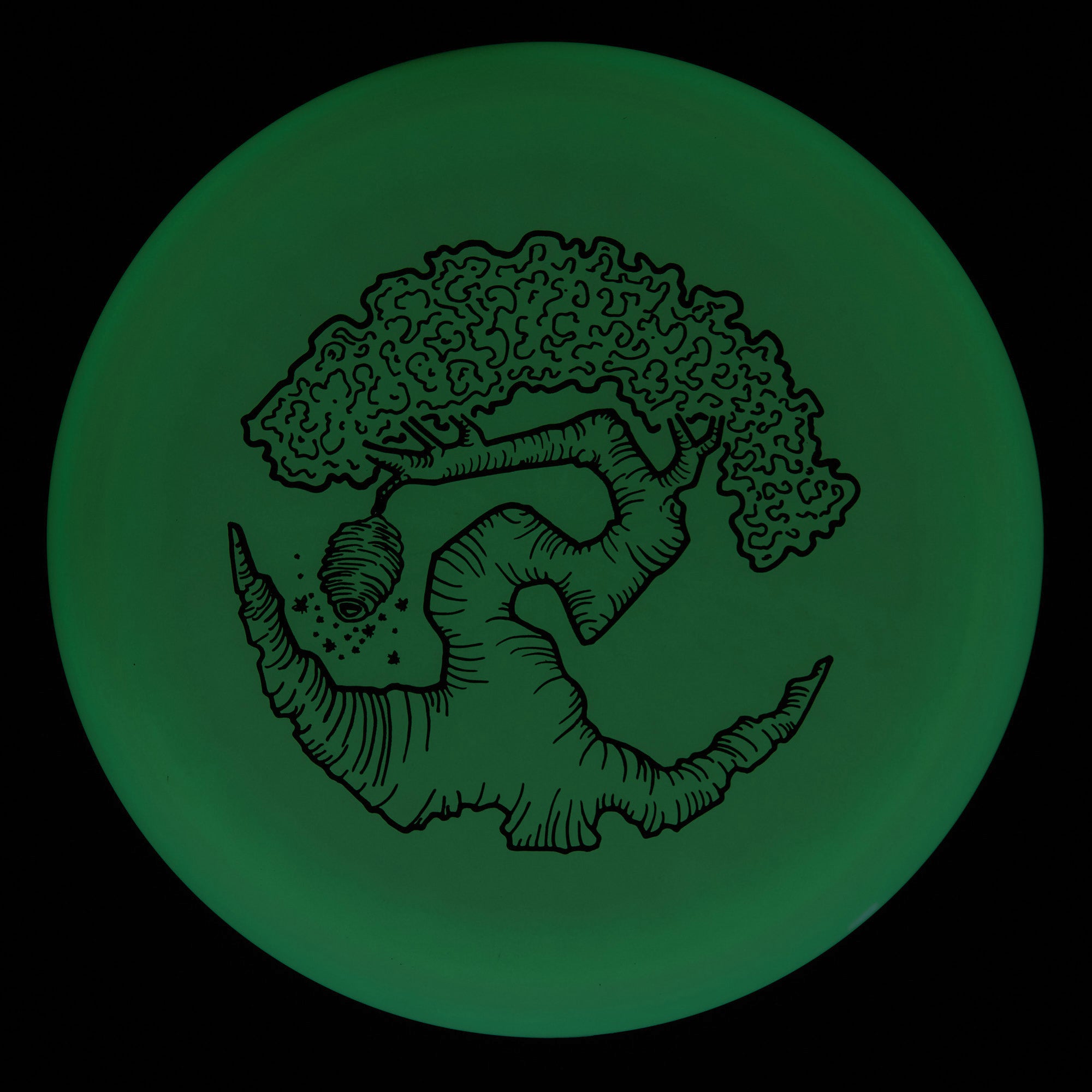 Faylor Lake Special Edition Glo Z FLX Swarm