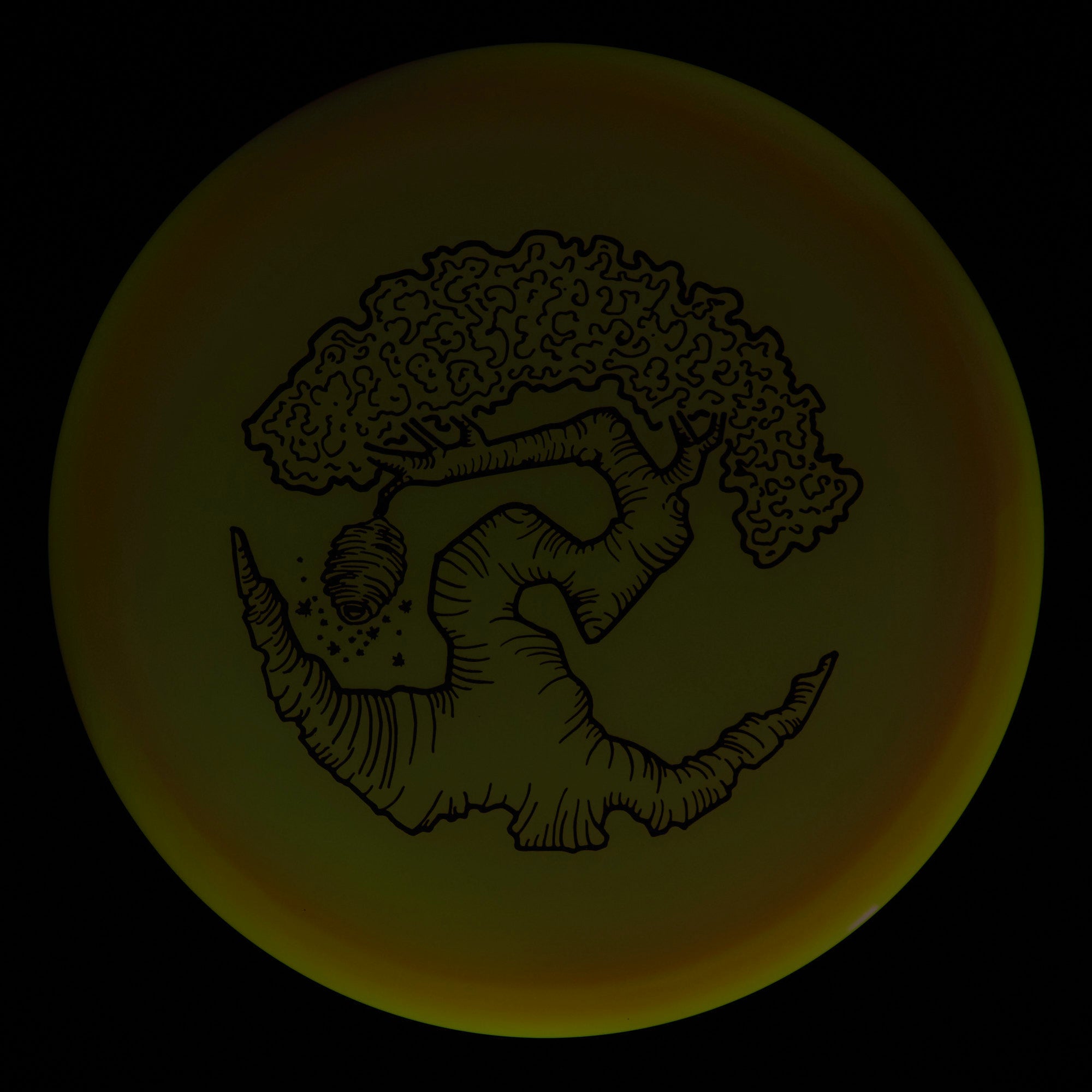 Faylor Lake Special Edition Glo Z FLX Swarm