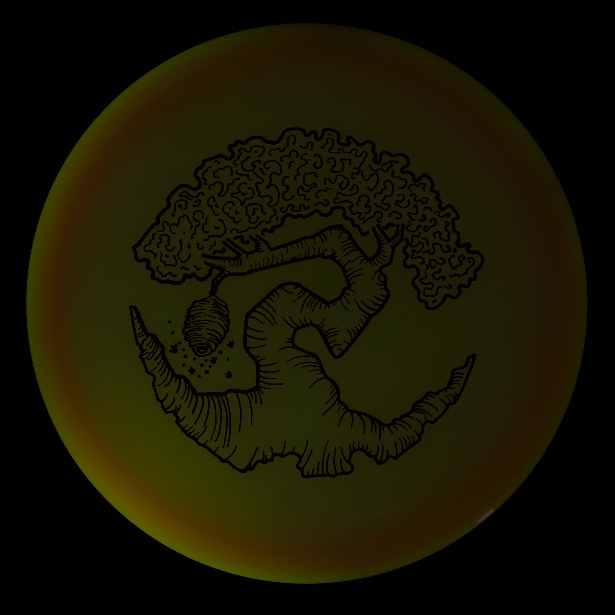 Faylor Lake Special Edition Glo Z FLX Swarm