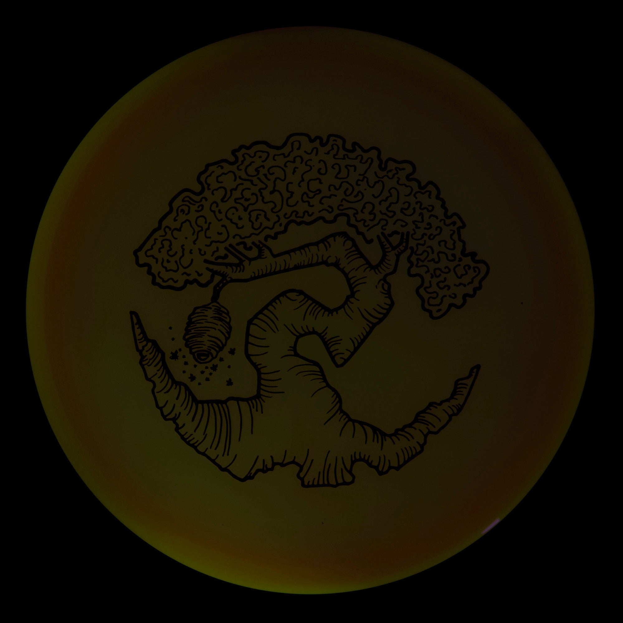 Faylor Lake Special Edition Glo Z FLX Swarm