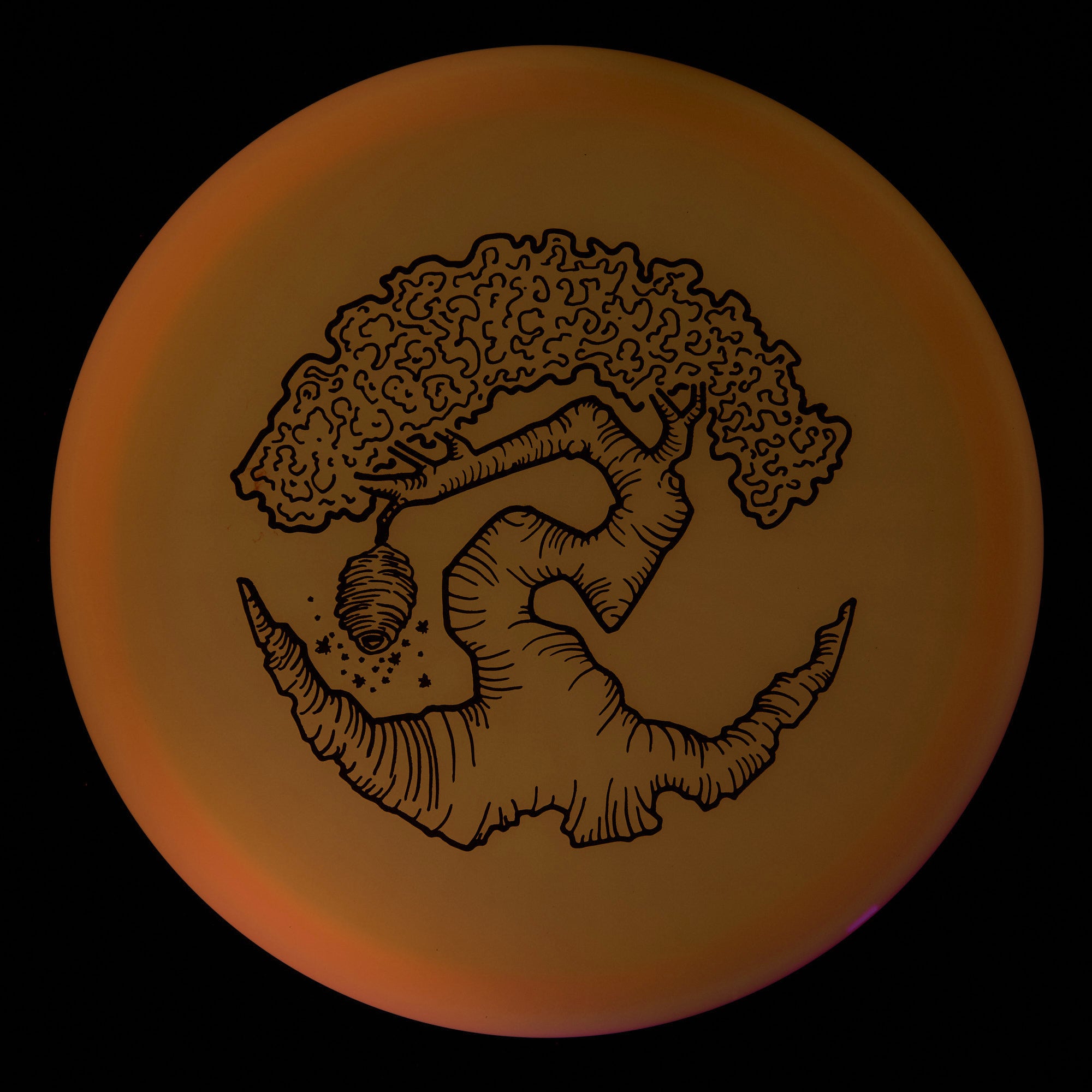 Faylor Lake Special Edition Glo Z FLX Swarm