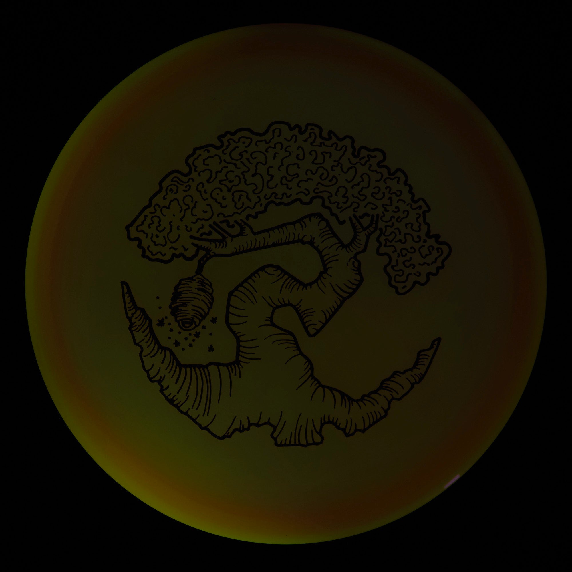 Faylor Lake Special Edition Glo Z FLX Swarm