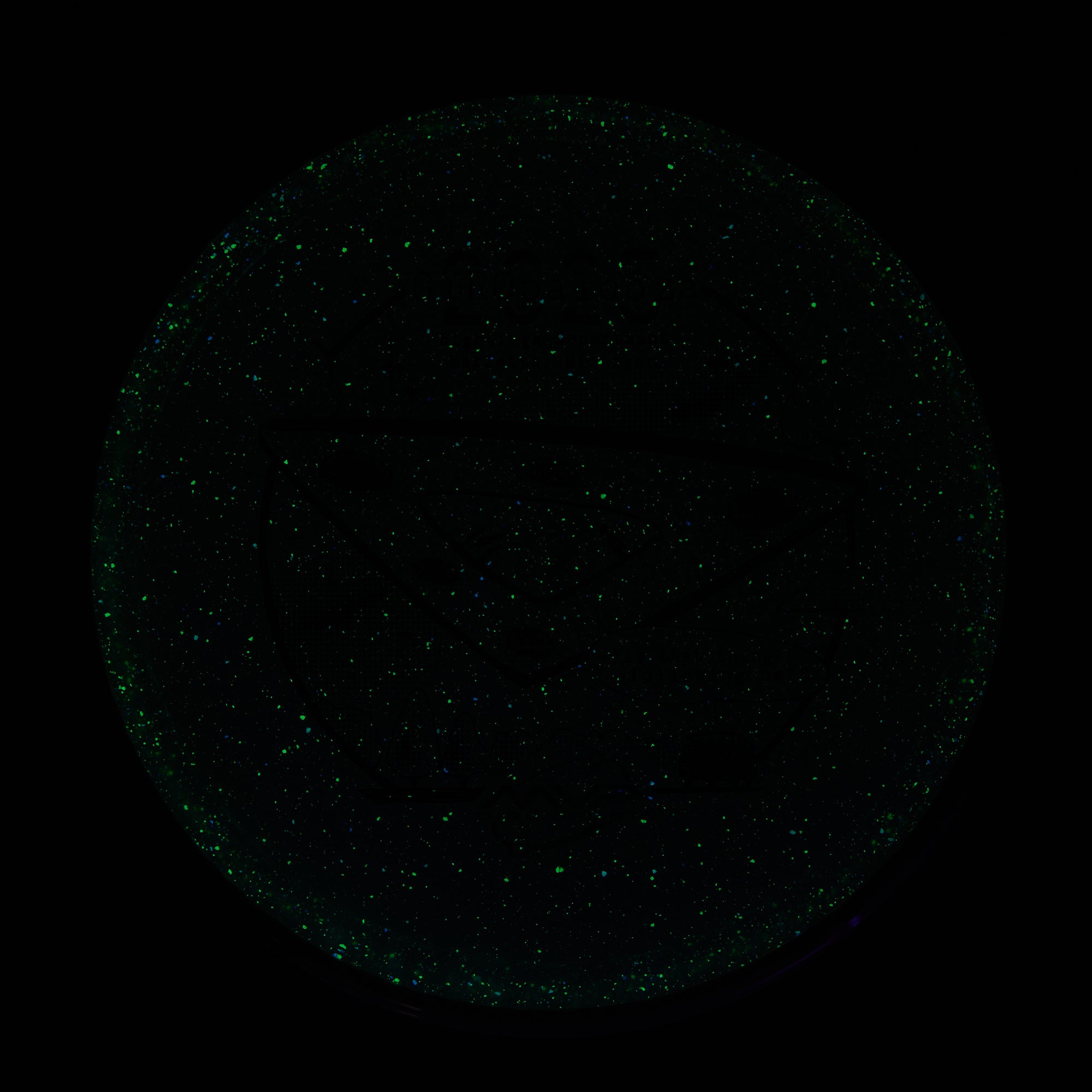 2025 Gyropalooza Particle Proton Pyro