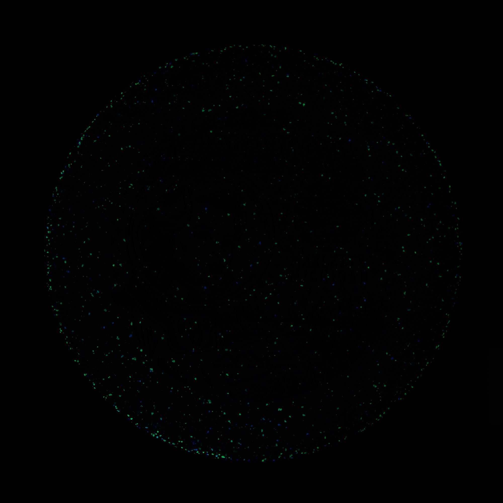 2025 Gyropalooza Particle Proton Particle