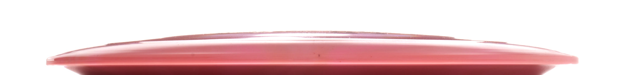 Special Edition Revive Burst Bear