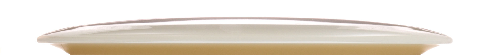 K1 Glow Idog