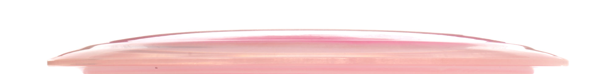 Heidi Laine 2025 Team Series VIP-X Ring Stag