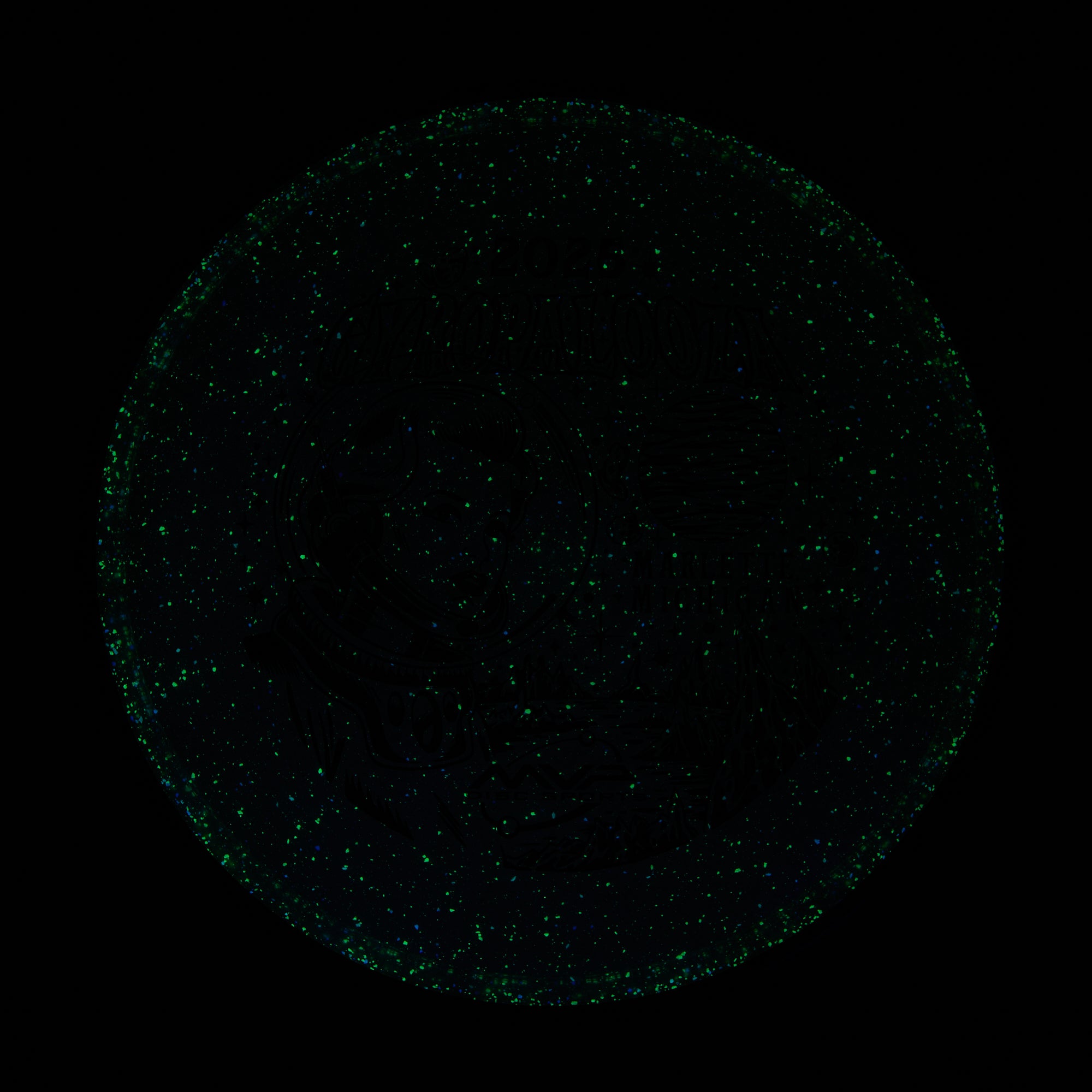 2025 Gyropalooza Particle Proton Particle