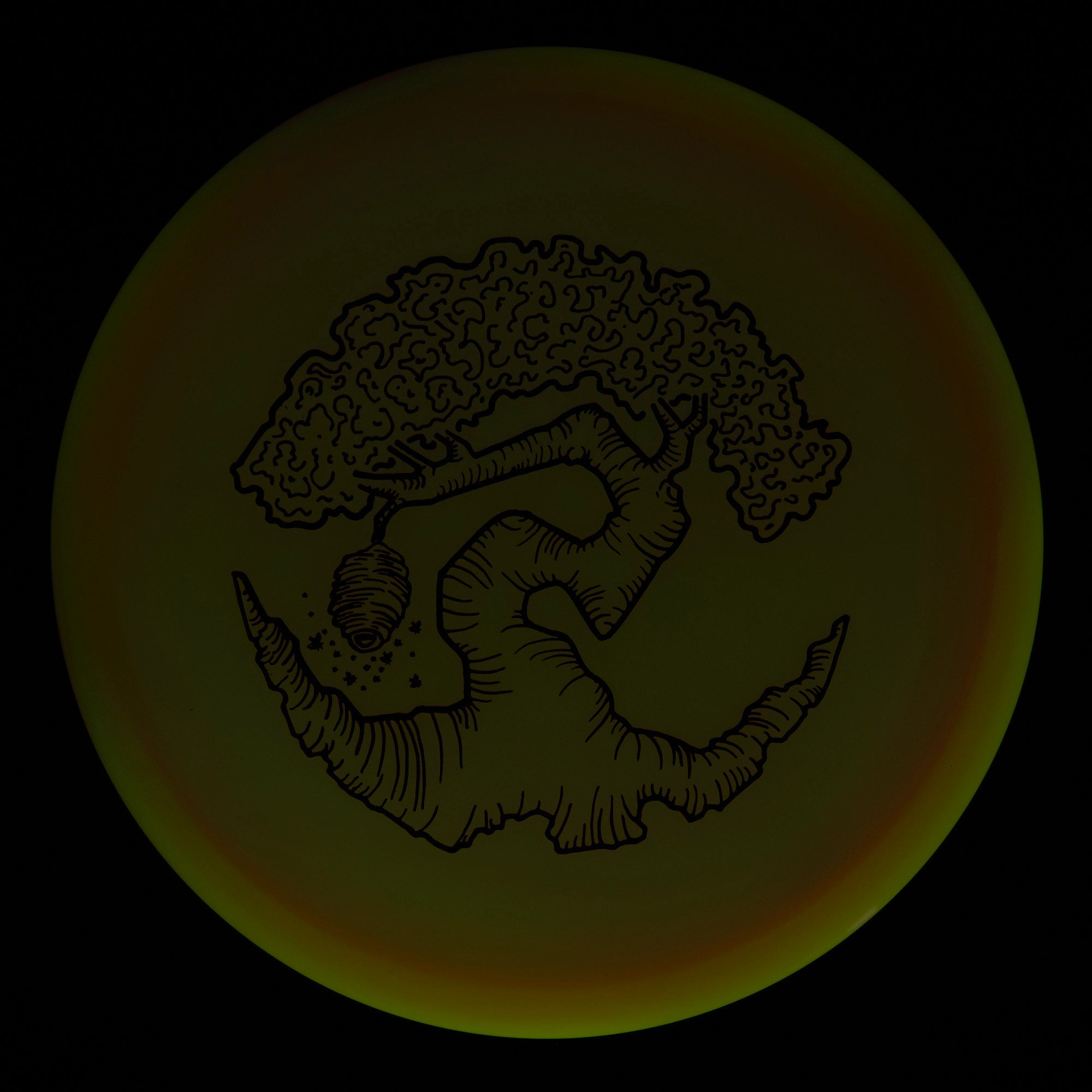 Faylor Lake Special Edition Glo Z FLX Swarm