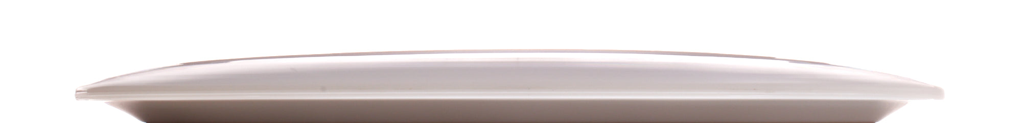 Blank Canvas Tournament Bear