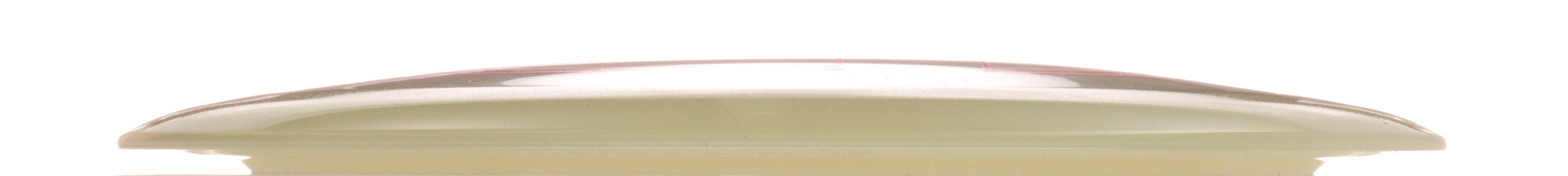 Proto Glow Champion Tern