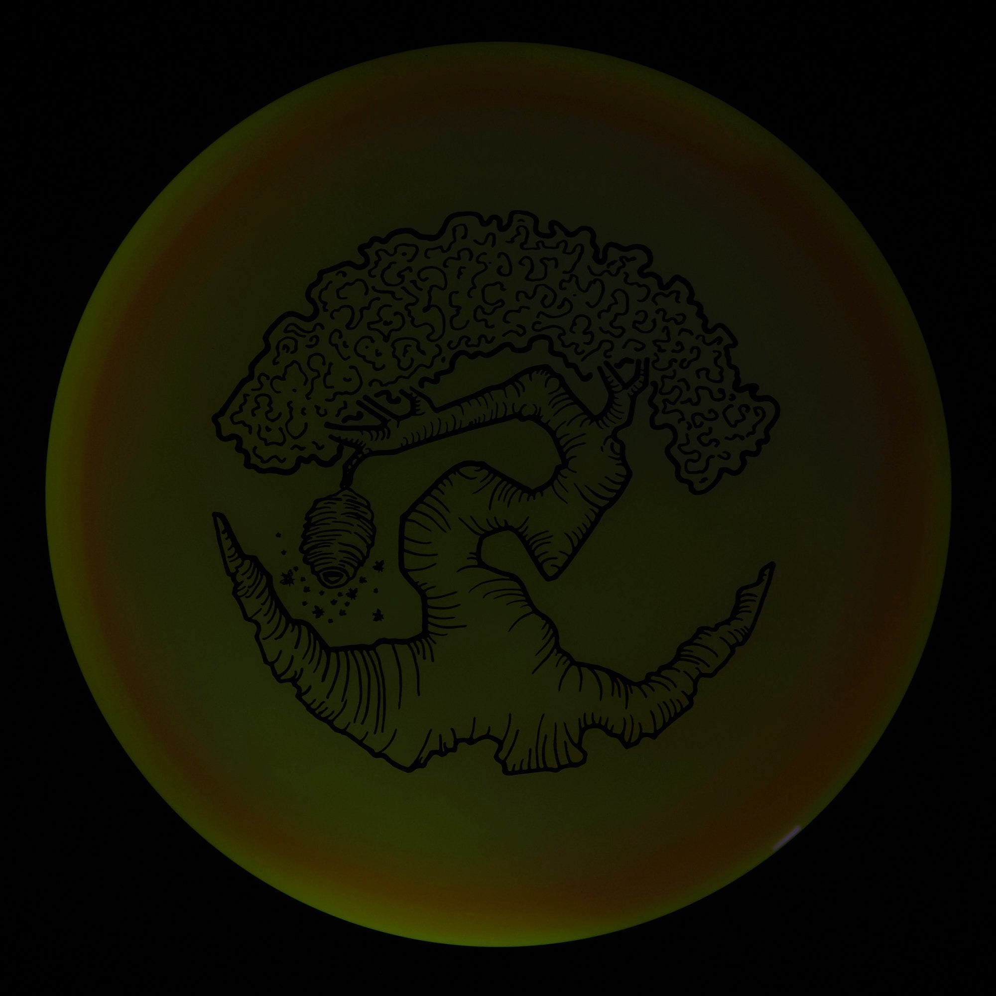 Faylor Lake Special Edition Glo Z FLX Swarm