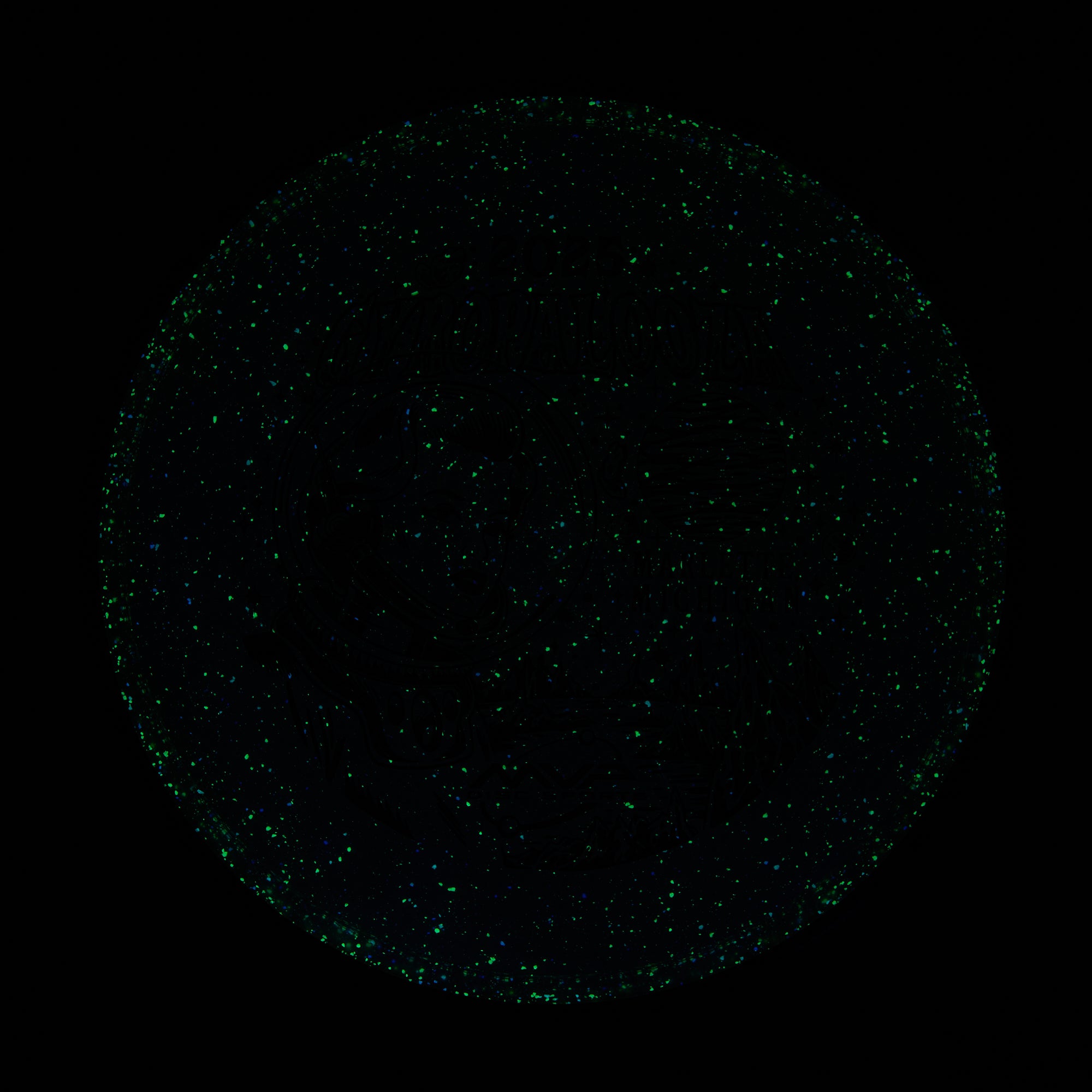 2025 Gyropalooza Particle Proton Particle