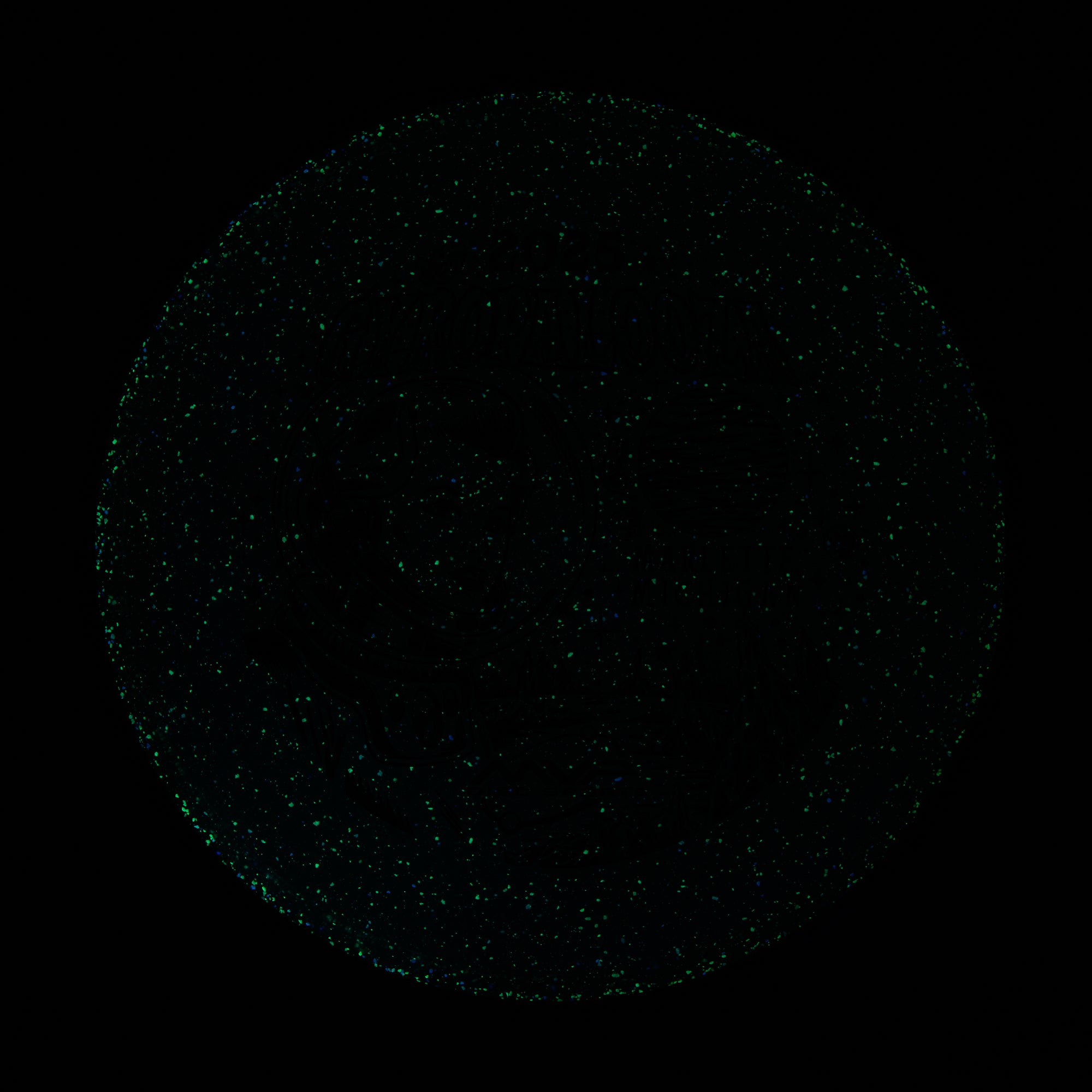 2025 Gyropalooza Particle Proton Particle