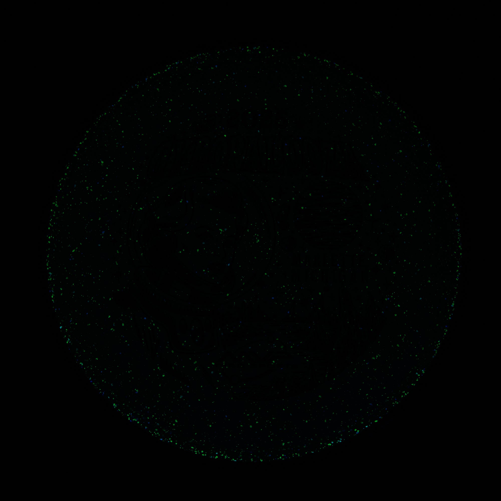 2025 Gyropalooza Particle Proton Particle