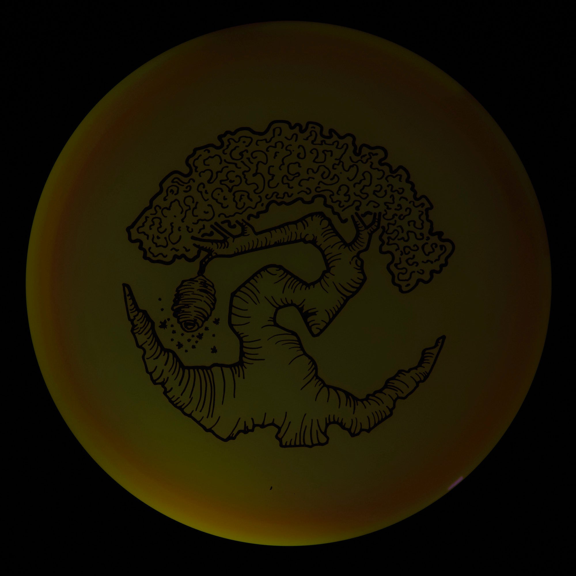 Faylor Lake Special Edition Glo Z FLX Swarm