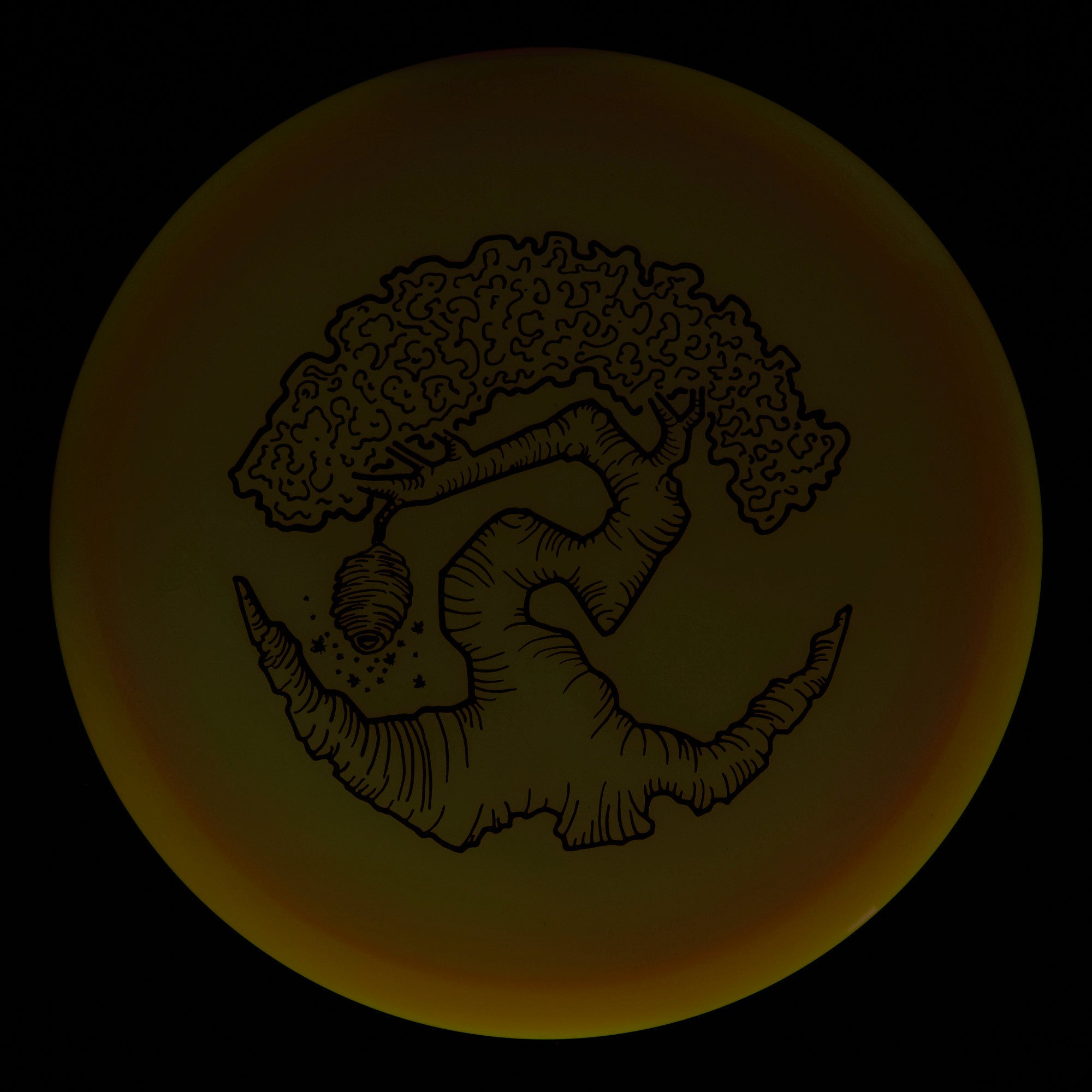 Faylor Lake Special Edition Glo Z FLX Swarm