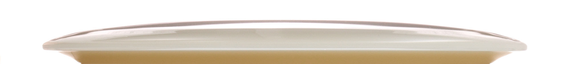 K1 Glow Idog
