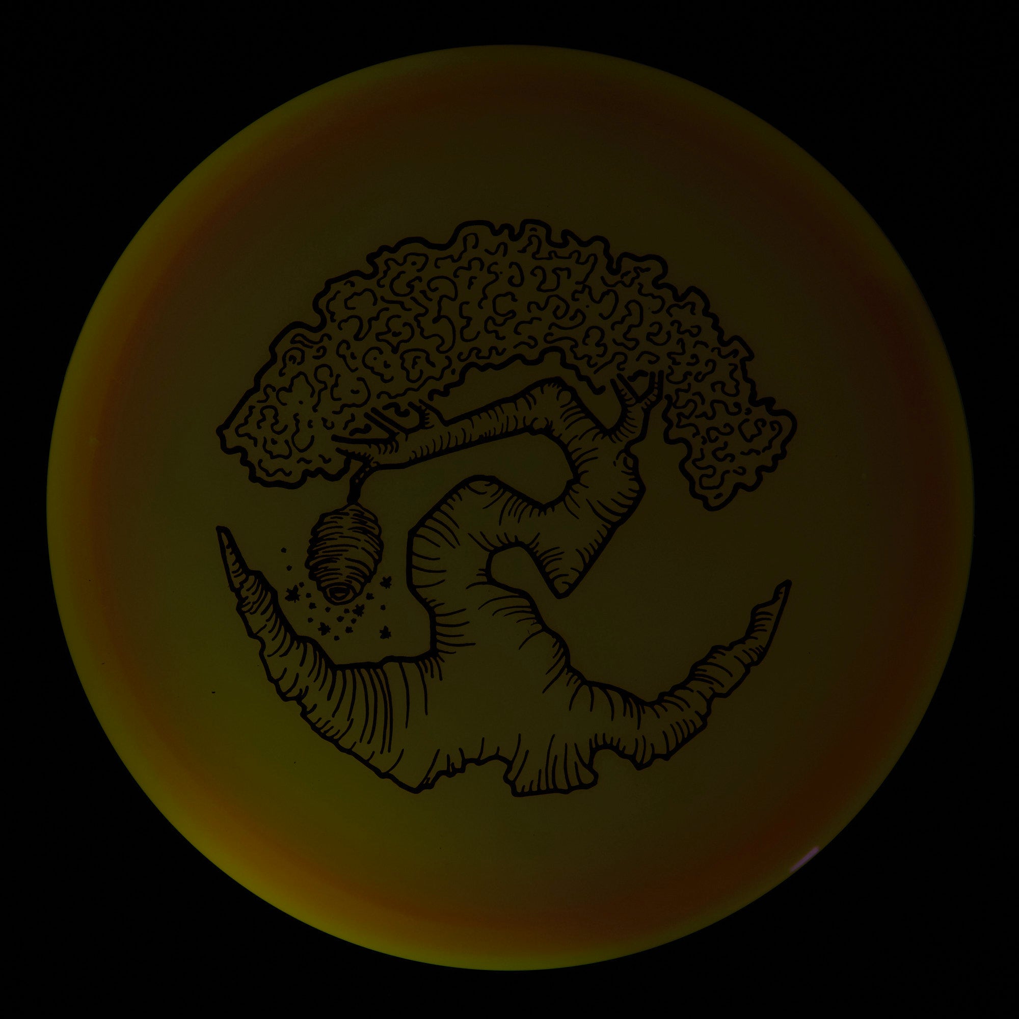 Faylor Lake Special Edition Glo Z FLX Swarm