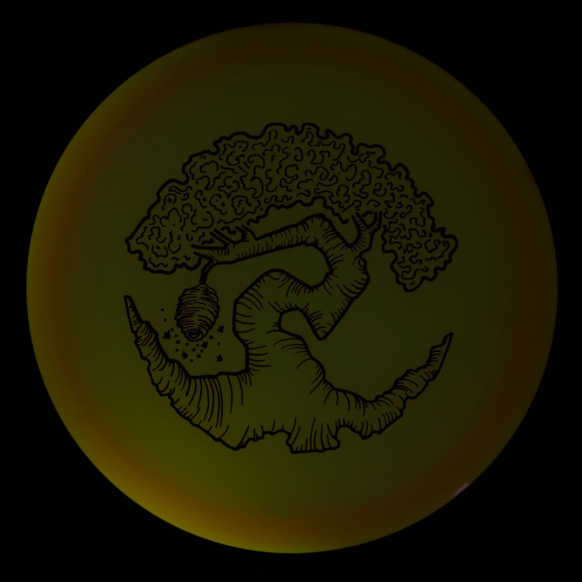 Faylor Lake Special Edition Glo Z FLX Swarm