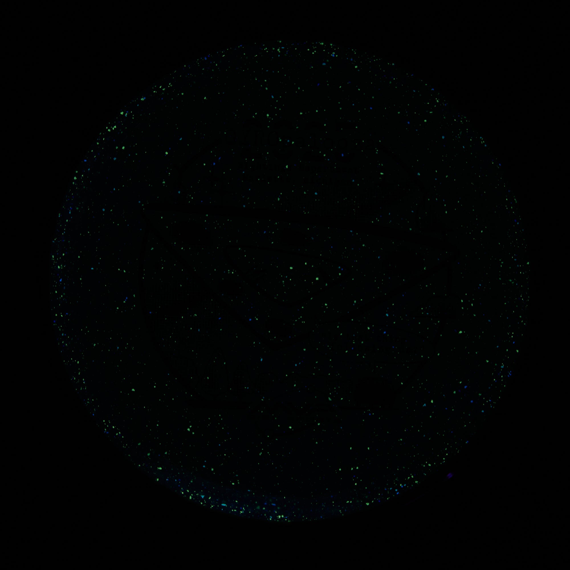 2025 Gyropalooza Particle Proton Pyro