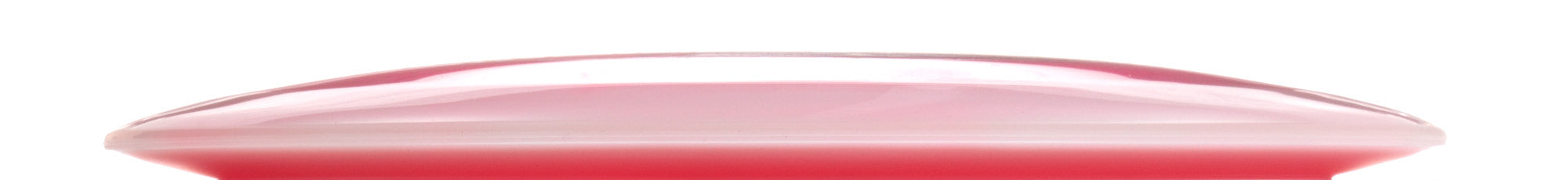 Holly Finley Team Champion Series Halo Champion Roadrunner