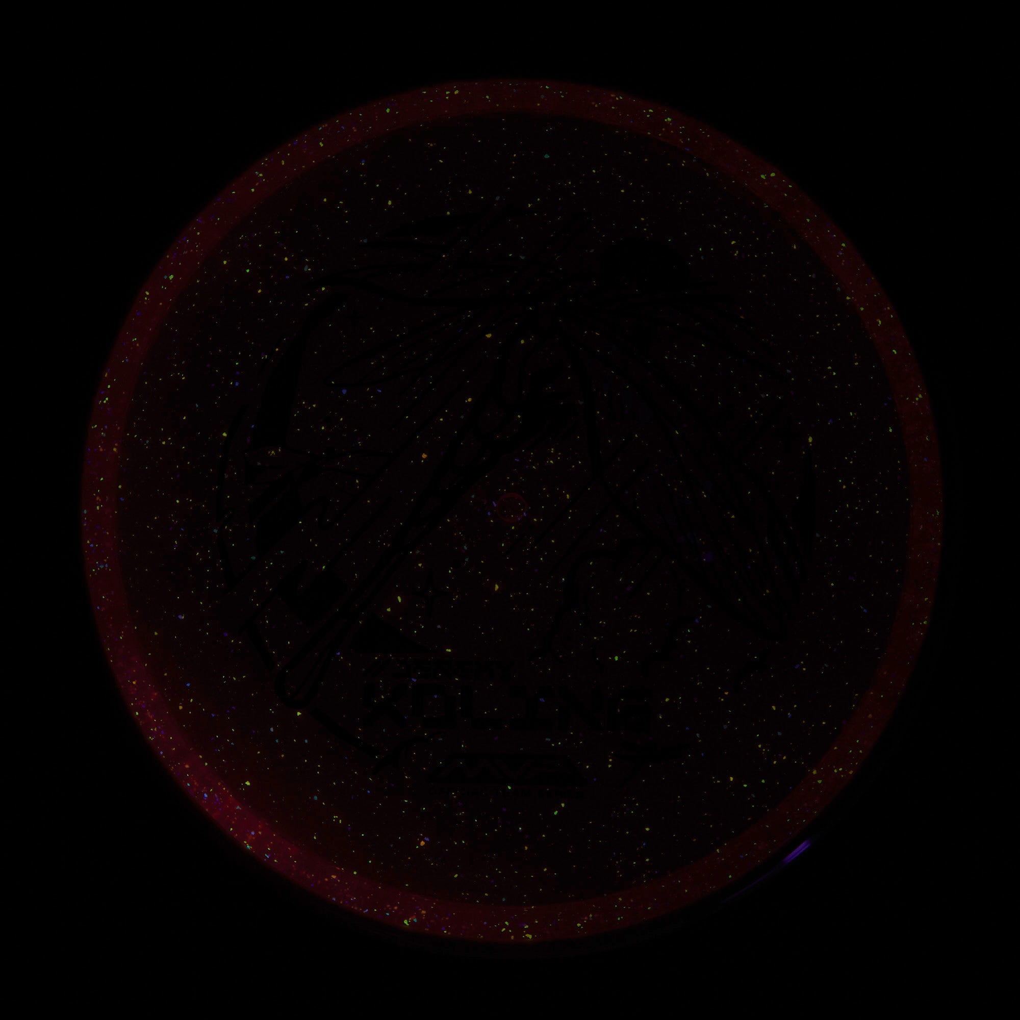 Jeremy Koling Dragonfly Team Series Particle Glow Proton Tempo