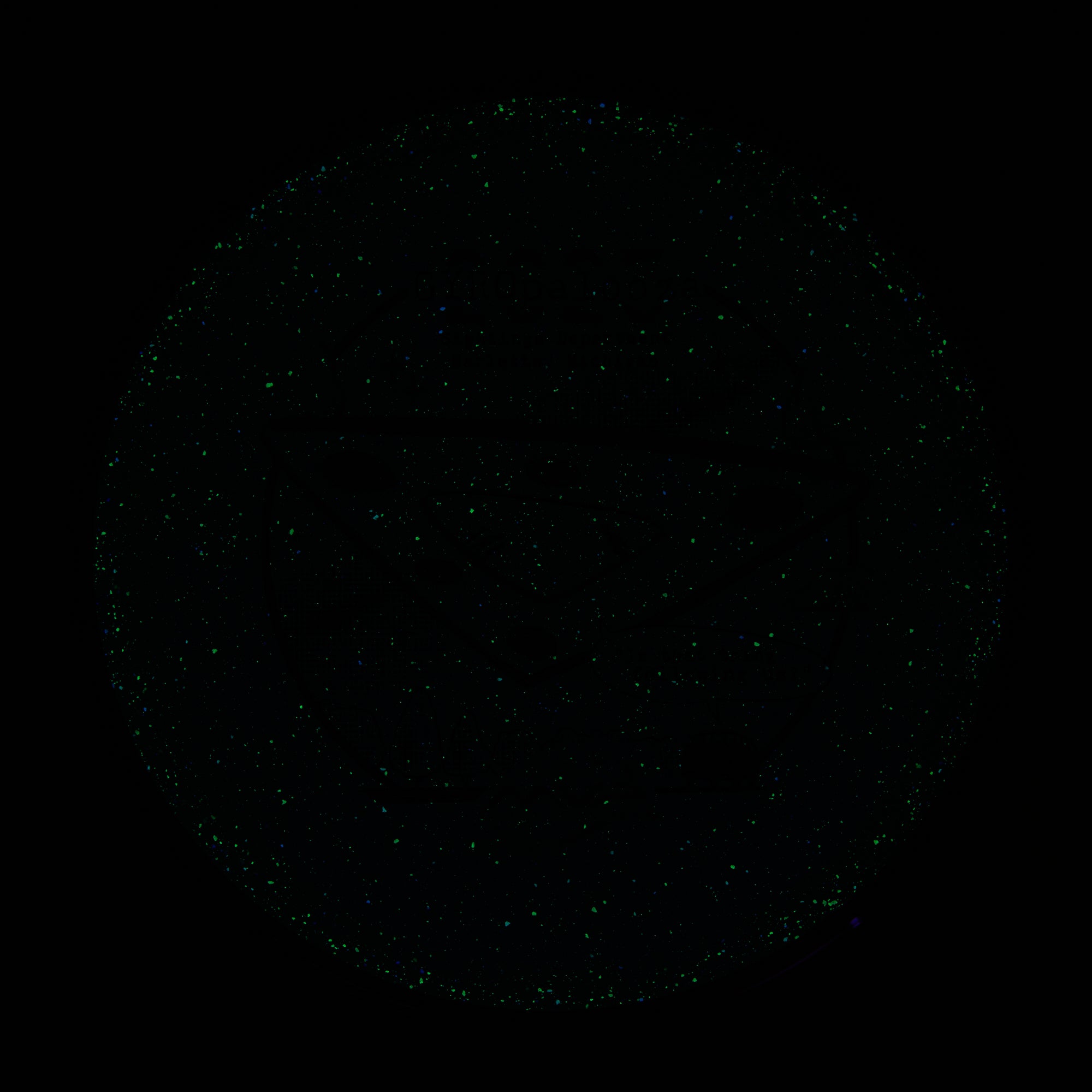 2025 Gyropalooza Particle Proton Pyro