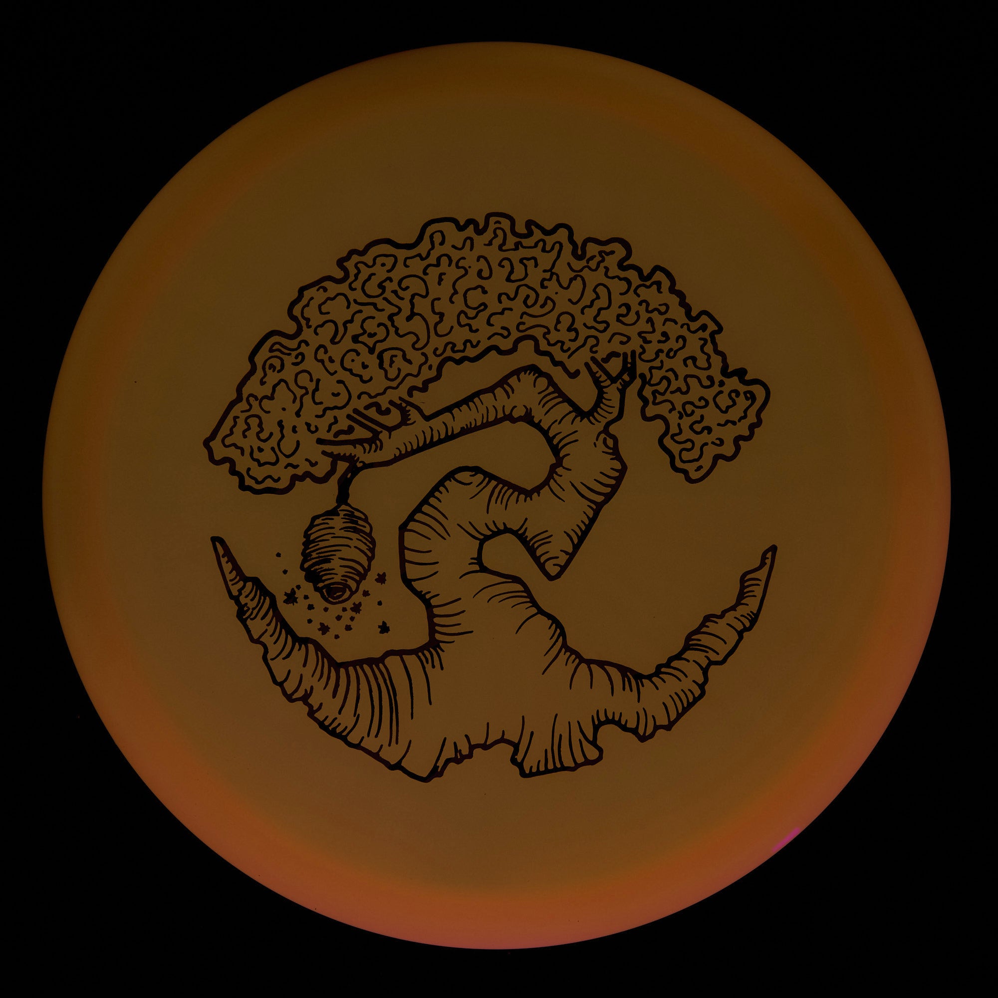 Faylor Lake Special Edition Glo Z FLX Swarm